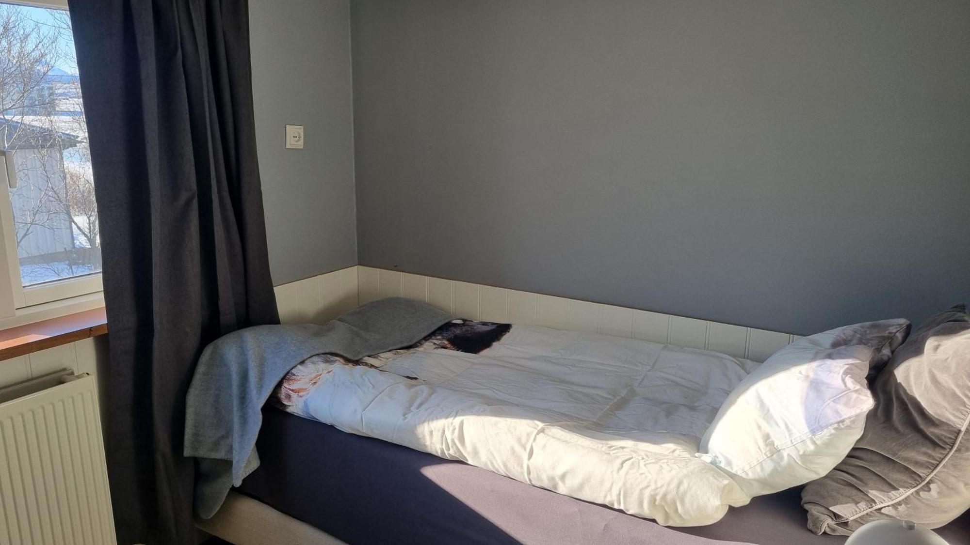 Fornilaekur Guesthouse Blonduos Extérieur photo